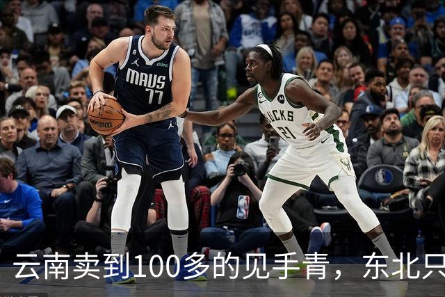 云南卖到100多的见手青，东北只要10块？